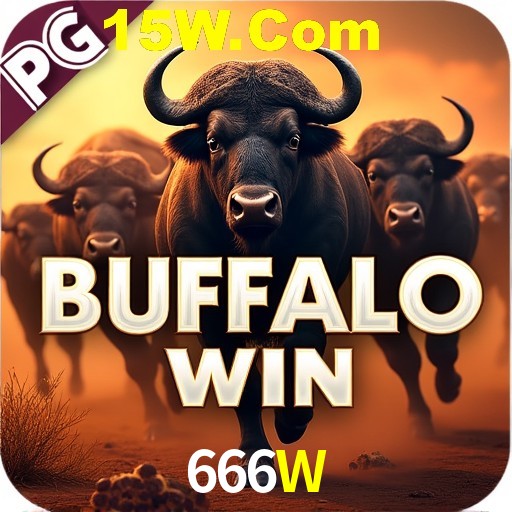 666W Rio de Janeiro - Bonus Terms